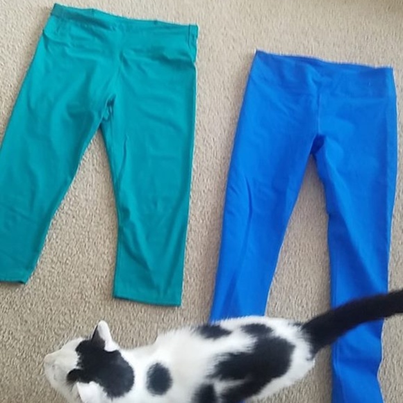 Fabletics Leggings (Cat not included) - Picture 1 of 1